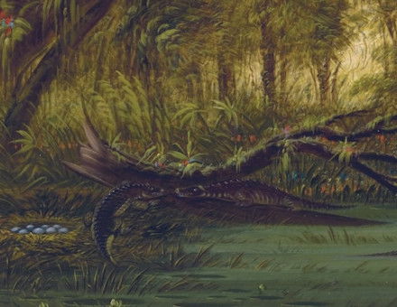 An Alligator’s Nest, by George Catlin, c.1850. Paul Mellon Collection, National Gallery of Art Washington. Public Domain.