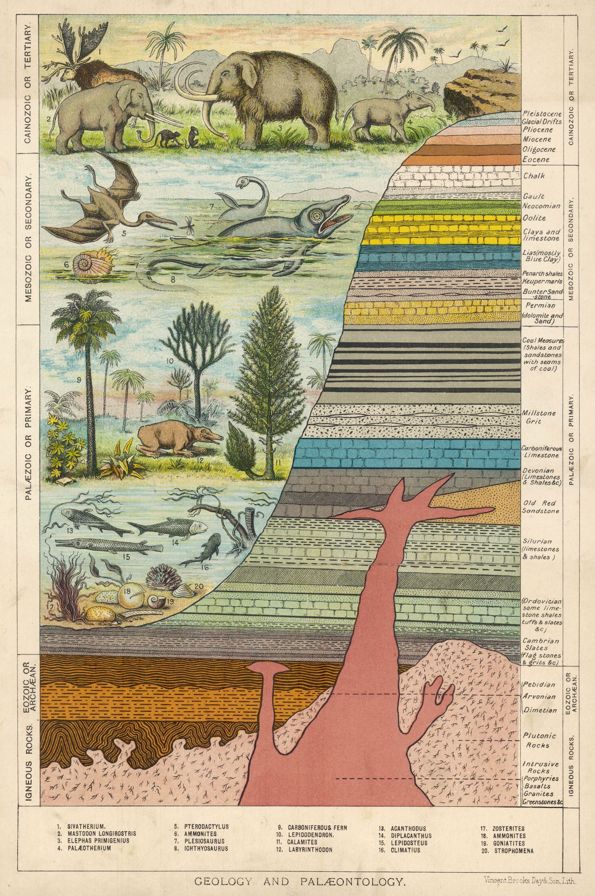 ‘Geology and Palaeontology’, from Cassell’s Natural History, 1896. Mary Evans Picture Library.