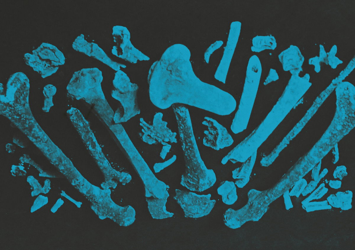 ‘King Ethelbert’s Bones Discovered in Sherborne Abbey 1925’, glass-plate slide photograph. Sherborne Abbey Library.