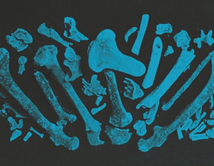 ‘King Ethelbert’s Bones Discovered in Sherborne Abbey 1925’, glass-plate slide photograph. Sherborne Abbey Library.