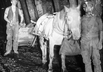 Miners and a pit pony, Baldwin’s Clog and Legging Mine, South Wales, c.1910. Chronicle/Alamy Stock Photo.